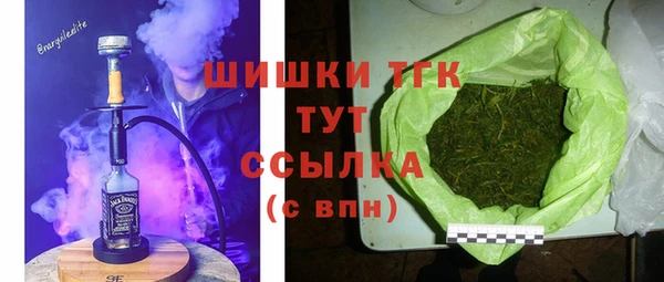 спиды Богородск