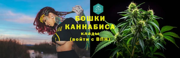 дурь Богданович